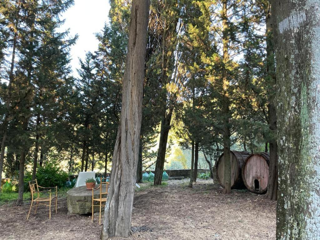 Fattoria Poggio Di Fiesole Villa Exteriör bild