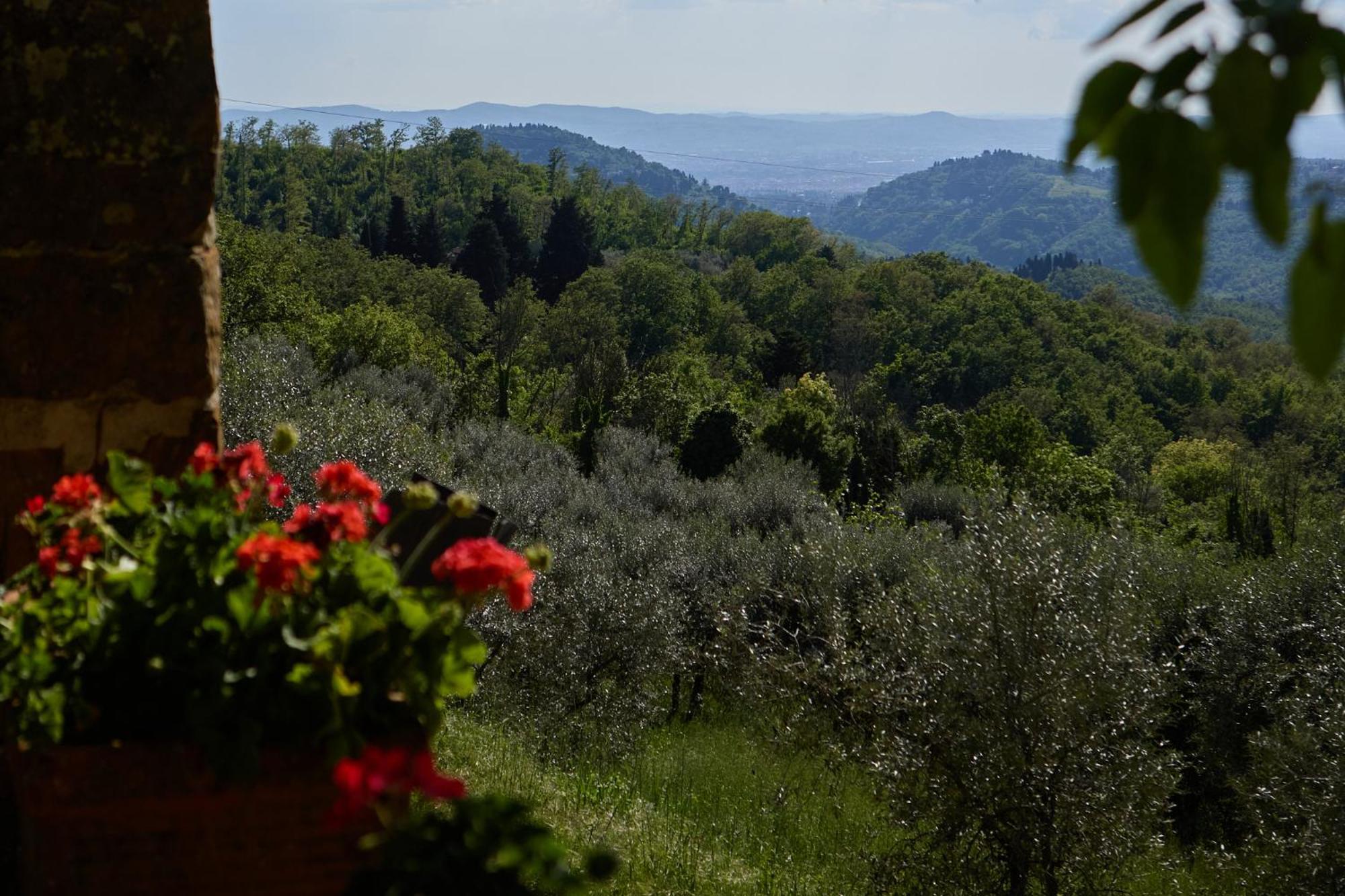 Fattoria Poggio Di Fiesole Villa Exteriör bild